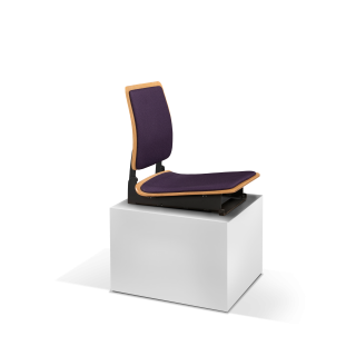 Phoenix Plus - product image