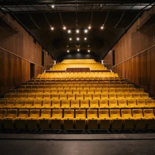 City Theatre - project image
